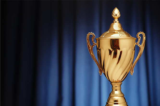 We have a professional team and first-class service.